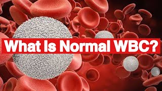 What Is Normal Range Of WBC Count  What happens if WBC count is high [upl. by Nollie765]