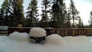 Big Snow Melt Time Lapse in Evergreen Colorado  April 2016 [upl. by Naesar]