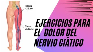 Ejercicios y estiramientos para REDUCIR el dolor nervio ciático [upl. by Valorie360]