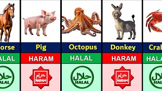 Halal and Haram Animal Meat in Islam [upl. by Einhpad]