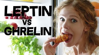 Leptin and Ghrelin  Hunger Hormones [upl. by Fronnia519]