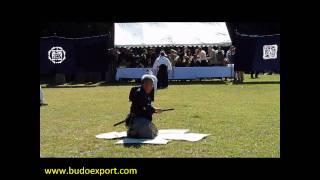 Sekiguchi Ryu Iai  Demonstration Meiji Jingu 2010  Iaijutsu  Battodo [upl. by Argela]