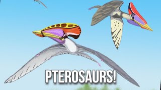 Pterosaurs Evolution of Flight in Reptiles [upl. by Torray987]