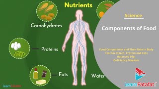 Components of Food Grade 6 Science Chapter 2 Full Chapter  Learnfatafat [upl. by Vasilek]