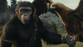 La Planète des Singes  Le Nouveau Royaume Bande Annonce VF 2024 [upl. by Landmeier]