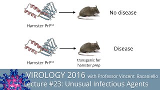 Virology Lectures 2016 23 Unusual infectious agents [upl. by Malina]