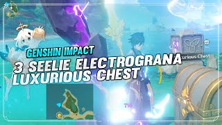 Kannazuka 3 Seelie Puzzle Electrobarrier Luxurious Chest  GENSHIN IMPACT INAZUMA [upl. by Roth]