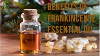 15 Amazing Benefits And Uses Of Frankincense Essential Oil  Organic Facts [upl. by Halak235]