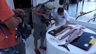 Fresh Sashimi Off A Fishing Boat  How To Make Sushi Series [upl. by Leanahtan]