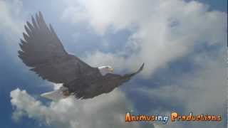 Soaring Bald Eagle Animation 1 [upl. by Pedaias]