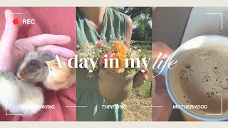 Homemaker Day in the Life  Stay at Home Mom of 4  Thrift Haul  Beginner Homestead  Simple Living [upl. by Riggins]