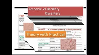 Amoebic Dysentery versus bacillary dysentery [upl. by Duthie955]