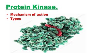 What are Protein Kinases Mechanism of action and its Types CSIR NET JRFICMR DBTGATE [upl. by Iram286]