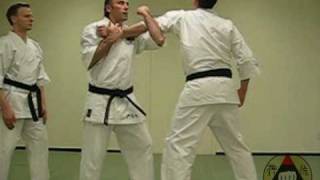 Okinawa Shorinryu Karate Assorted Kata Bunkai clip 2 [upl. by Hamas]