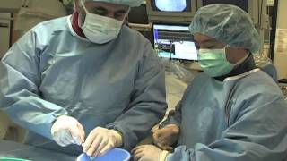 Transcatheter Closure  Richard Webel MD [upl. by Enomor406]