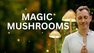 Meine psychedelische Transformation auf Magic Mushrooms  Volldosis OHNE Tripsitter [upl. by Gimpel]