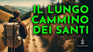 Il cammino della salvezza è facile o difficile [upl. by Sib98]