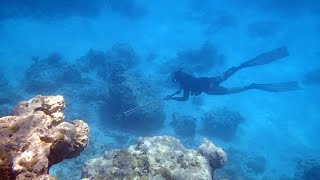 Tuamotu avec Karaka chasse sousmarine voile plongée  spearfishing diving and sailing  par Dams [upl. by Liagiba445]