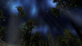 Aurora Lights Cinematic [upl. by Bail]