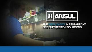 Ansul Kitchen Restaurant Fire Suppression Video [upl. by Yesllek]