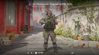 CS2 Lt Commander Ricksaw  NSWC SEAL  CounterStrike 2 Agent Skin Showcase amp Inspect [upl. by Adrianne]