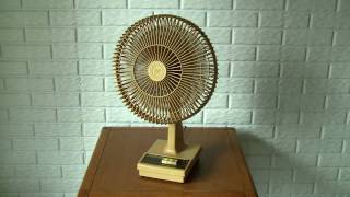 Toastmaster DeLuxe Oscillating Fan [upl. by Kancler750]