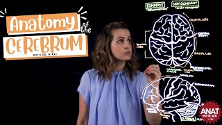 Anatomy of the Cerebral Hemispheres amp Lobes of the Brain [upl. by Alric]