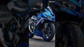 zx25r blue nih boss [upl. by Hoffarth]