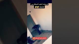 لو عضك الكلب ما احسنلك من هالوقعة 🤣 [upl. by Gadmann783]