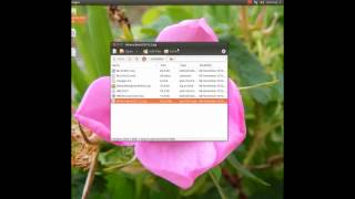 How to create and run the Hirens BootCD 152 in Ubuntu 1210 Linux [upl. by Obau721]