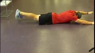 Contralateral Prone Limb Raises [upl. by Trbor564]