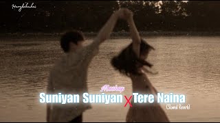 Suniyan Suniyan x Tere Naina Mashup Slowed Reverb  Harrykahanhai  Lastest Punjabi Mashup 2024 [upl. by Etsirhc379]