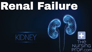 Lec 12 Phases of ARF Oliguric Phase  Renal [upl. by Annoerb]