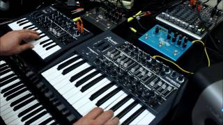 Magnetic Fields 4 Melody Played on Arturia MiniBrute and MicroBrute Synthesizers [upl. by Lecrad]