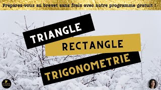 TRIANGLE RECTANGLE TRIGONOMETRIE [upl. by Ayhtin]