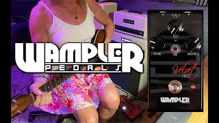 Wampler Velvet Fuzz [upl. by Ponce]