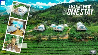 Nature Bubble Glamping Stay  Monticle Glamps  Vagamon  Kerala  4K [upl. by Mairym]