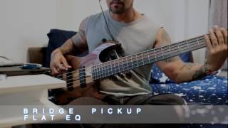 Kiesel VB5 Demo [upl. by Yuji578]