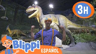 Blippi aprende sobre dinosaurios  Blippi Español  Videos educativos para niños  Aprende y Juega [upl. by Almallah]