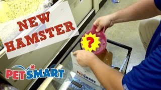 GETTING MY NEW HAMSTER AT PETSMART [upl. by Albion]