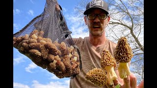 MOREL HUNTING CENTRAL INDIANA 50122 [upl. by Dannie602]