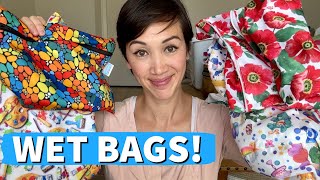 BEST WET BAGS Tips amp Reviews [upl. by Nnylirak794]