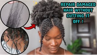 HOW TO REPAIR DAMAGED HAIR AT HOME without cutting it off [upl. by Ingaberg804]