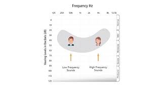 Understanding an Audiogram [upl. by Ramirolg965]