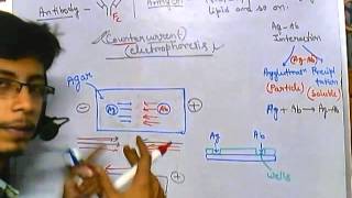 Immunoelectrophoresis counter current [upl. by Ailema633]