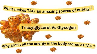 Triacylglycerol an amazing source of energy Two sources of energy adapted to particular needs [upl. by Okikuy]