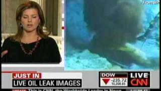 Deepwater Horizon  May 20 2010 CNNLive video Loop Current [upl. by Esela]