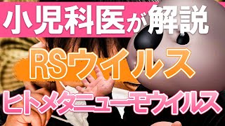 【流行中！子供の感染症】RSウイルスとヒトメタニューモウイルスについて解説！ [upl. by Vijar]