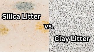 Silica Vs Clay Litter  What’s best for your cat [upl. by Olag]