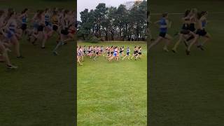 Lindsays Short Course XC U15 Girls Race Start [upl. by Yemerej]